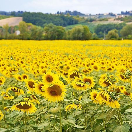 Agriturismo Tre Madonne Монтериджоні Екстер'єр фото