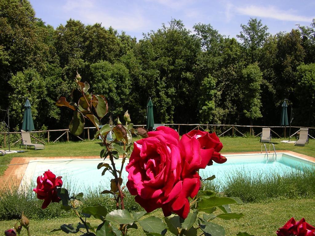 Agriturismo Tre Madonne Монтериджоні Екстер'єр фото