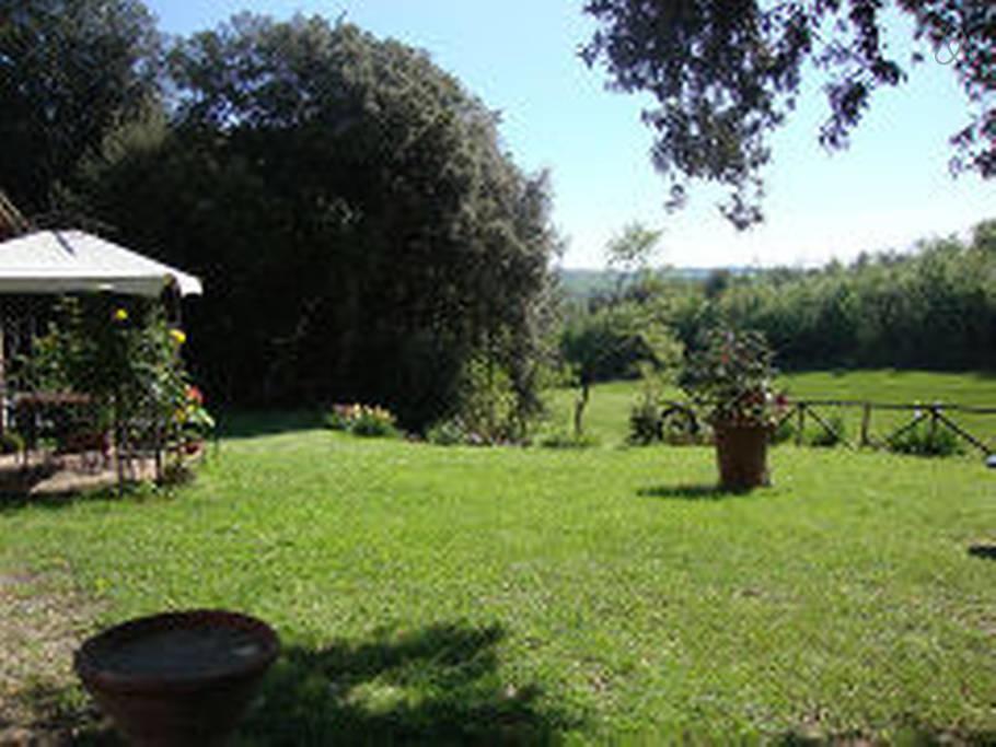 Agriturismo Tre Madonne Монтериджоні Номер фото