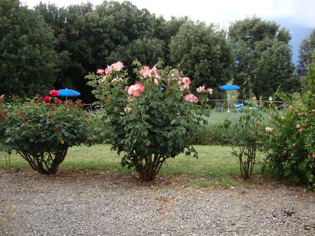 Agriturismo Tre Madonne Монтериджоні Номер фото