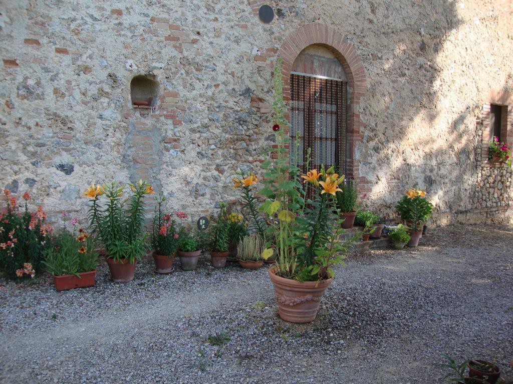 Agriturismo Tre Madonne Монтериджоні Номер фото